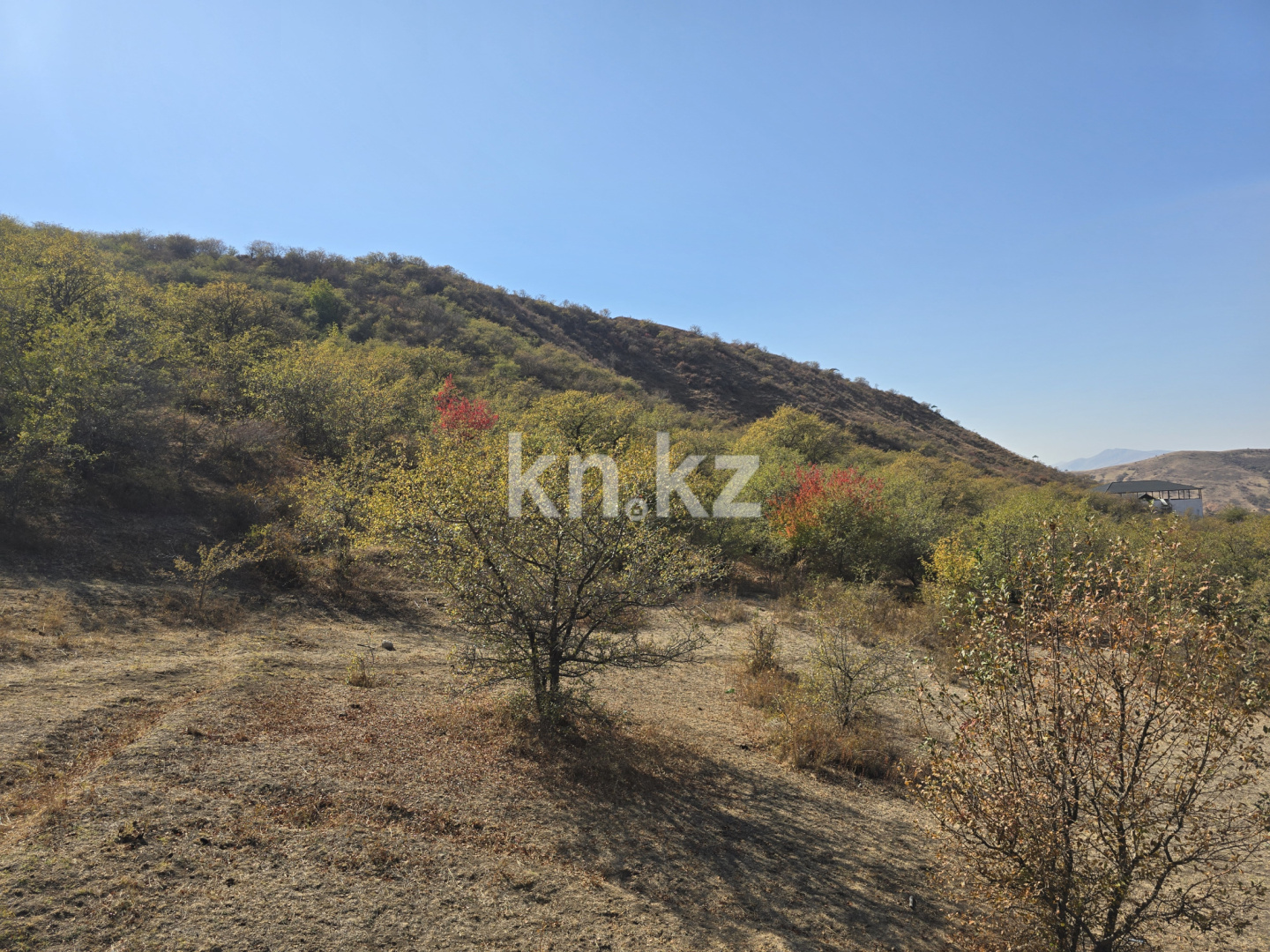 Продажа , 450 м², с.Бургулюк, дом  1111 в Шымкенте - фото 37