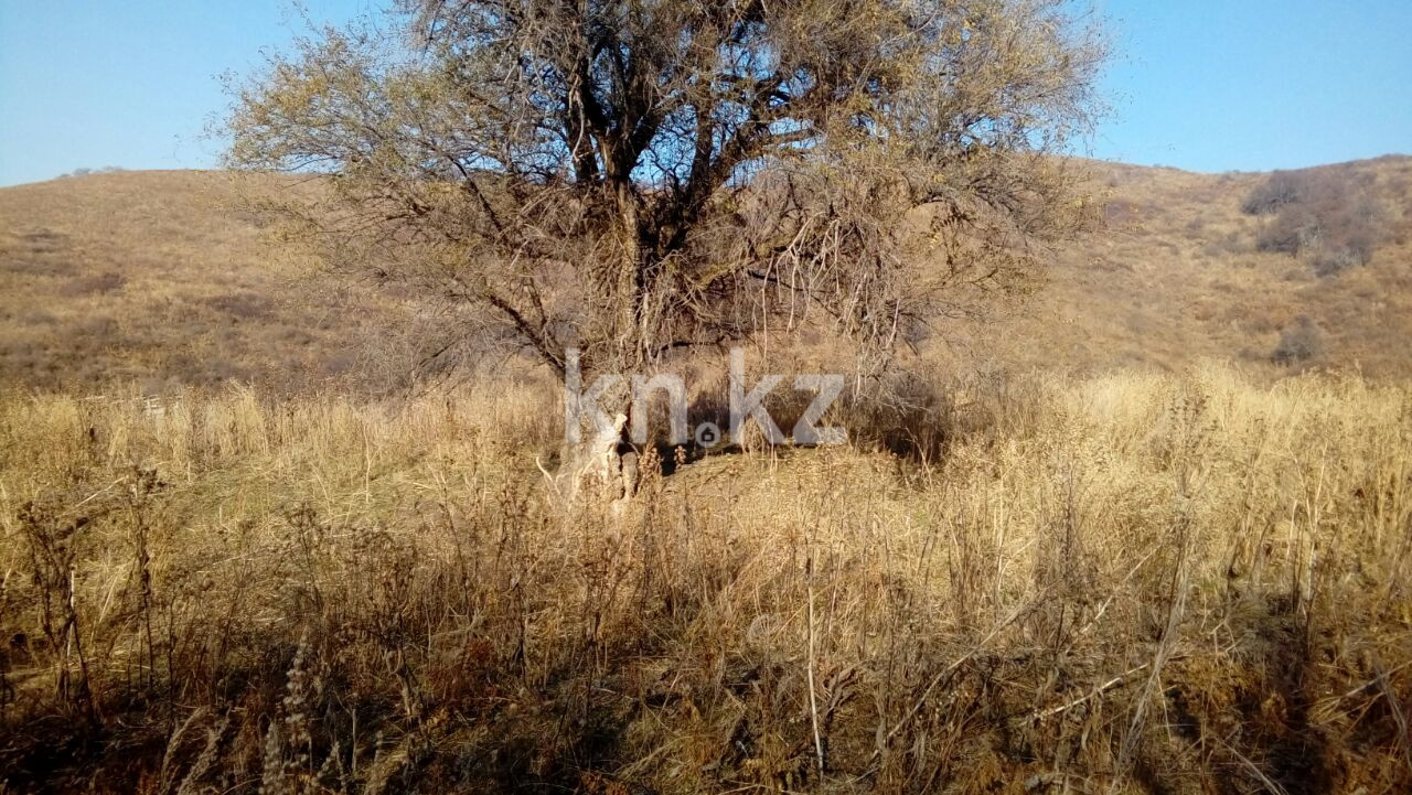 Продажа земельного участка, 1.5 га, МТФ №3 р-н в Алматинской области - фото 5