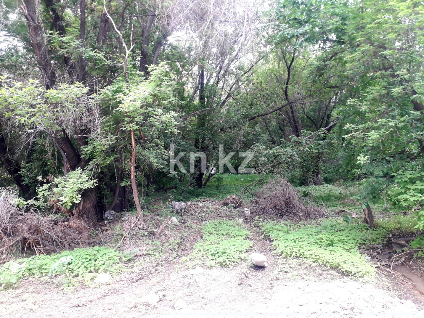 Продажа земельного участка, 190 м², Туздыбастау п. в Алматинской области - фото 5