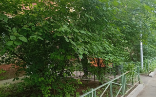 Аренда 2-комнатной квартиры, 46 м² - Аренда двухкомнатных квартир помесячно в Алматы