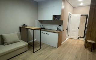 Аренда 1-комнатной квартиры, 23 м² - Аренда квартир помесячно в р-не Нура Астаны