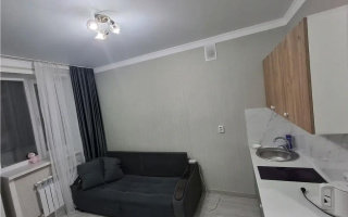Продажа 1-комнатной квартиры, 18 м² - Продажа однокомнатных квартир от собственников в Астане - страница 26
