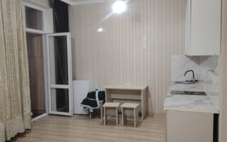 Аренда 1-комнатной квартиры, 30 м² - Аренда квартир помесячно в Казахстане