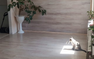 Продажа 4-комнатной квартиры, 100 м² - Продажа квартир в кирпичном доме в Казахстане - страница 78
