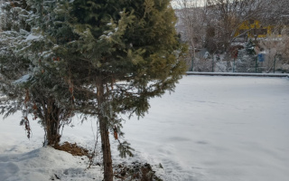 Продажа участка, 6 сот. - Продажа земельных участков в Алматы в Бостандыкском р-не