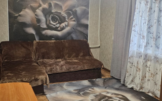 Аренда 2-комнатной квартиры посуточно, 43 м² - Аренда квартир посуточно в Караганде