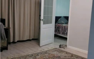 Продажа 3-комнатной квартиры, 45 м² - Продажа недвижимости в Казахстане - страница 13