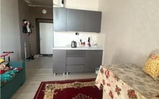 Продажа 1-комнатной квартиры, 21 м² - Продажа квартир в р-не Есиль Астаны - страница 4