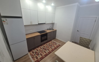 Аренда 1-комнатной квартиры, 42 м² - Аренда однокомнатных квартир помесячно в Астане