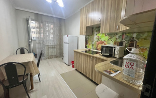 Аренда 1-комнатной квартиры, 42 м² - Аренда недвижимости в Казахстане - страница 20