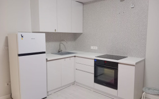 Аренда 1-комнатной квартиры, 44 м² - Аренда  однокомнатных квартир помесячно в Астане