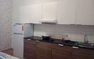 Аренда 2-комнатной квартиры, 54 м² - Аренда двухкомнатных квартир помесячно в Астане