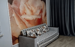 Аренда 1-комнатной квартиры, 31 м², ул. Комиссарова, дом  26 - Аренда  однокомнатных квартир помесячно в Караганде с фото