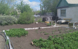 Продажа дачи, 4 сот. - Продажа дач в Казахстане