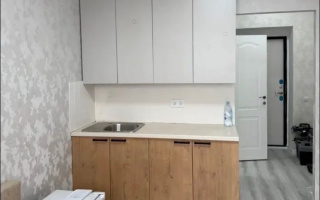 Аренда 1-комнатной квартиры, 21 м² - Аренда однокомнатных квартир помесячно в Астане