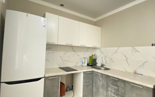 Аренда 1-комнатной квартиры, 40 м² - Аренда квартир помесячно в Казахстане