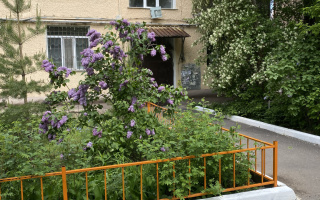 Продажа 3-комнатной квартиры, 75 м² - Продажа квартир в Караганде - страница 3