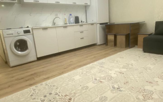 Аренда 1-комнатной квартиры, 30 м² - Аренда квартир помесячно в Казахстане - страница 7