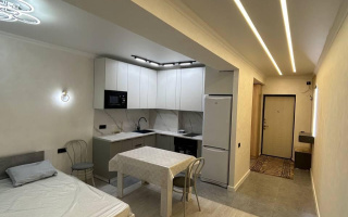 Аренда 1-комнатной квартиры, 40 м² - Недвижимость в Казахстане - страница 22