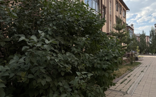 Продажа 1-комнатной квартиры, 38.3 м² - Продажа квартир в Караганде - страница 8