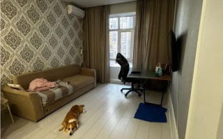 Продажа 2-комнатной квартиры, 45 м² - Продажа квартир в р-не Сарайшык Астаны - страница 8