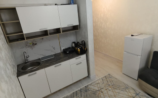 Аренда 1-комнатной квартиры, 18 м² - Аренда однокомнатных квартир помесячно в Казахстане