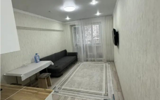 Продажа 1-комнатной квартиры, 25 м² - Недвижимость в Алматы