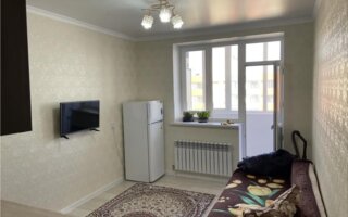 Продажа 1-комнатной квартиры, 20 м² - Продажа квартир в монолитно-каркасном доме в Казахстане - страница 11