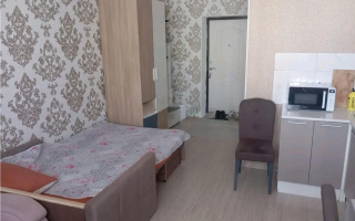 Продажа 1-комнатной квартиры, 24 м² - Продажа однокомнатных квартир от собственников в Астане - страница 9