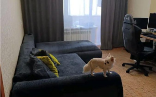 Продажа 2-комнатной квартиры, 48 м² - Продажа двухкомнатных квартир от собственников в Караганде - страница 4