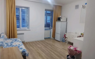 Продажа 1-комнатной квартиры, 27 м² - Продажа однокомнатных квартир в р-не Нура Астаны