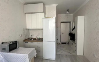 Продажа 1-комнатной квартиры, 20 м² - Продажа квартир в р-не Сарайшык Астаны - страница 2