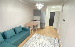 Продажа 1-комнатной квартиры, 24.8 м², ул. Е-103, дом  1/1 - Продажа квартир в новостройках Астаны без посредников