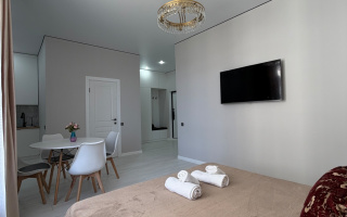 Аренда 1-комнатной квартиры посуточно, 35 м² - Аренда однокомнатных квартир посуточно в Астане