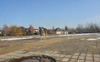 Продажа участка, 10 сот. - Продажа земельных участков в Алматы