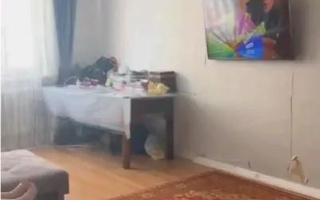 Продажа 1-комнатной квартиры, 42.1 м² - Продажа однокомнатных квартир в Астане - страница 3