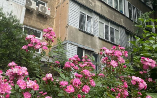 Аренда 2-комнатной квартиры, 48 м² - Аренда квартир помесячно в Медеуском р-не Алматы