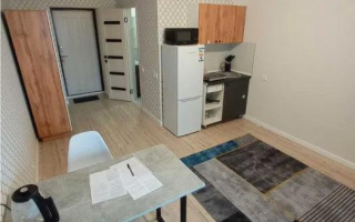 Продажа 1-комнатной квартиры, 22 м² - Продажа недвижимости в Казахстане - страница 6