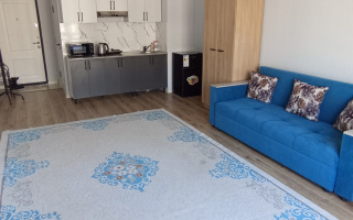 Аренда 1-комнатной квартиры, 30 м² - Аренда квартир помесячно в Казахстане - страница 9