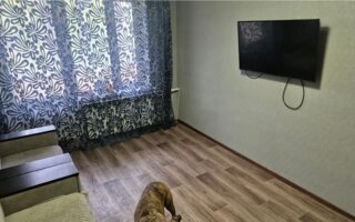 Продажа 2-комнатной квартиры, 46.7 м² - Продажа квартир в панельном доме в Алматы - страница 3