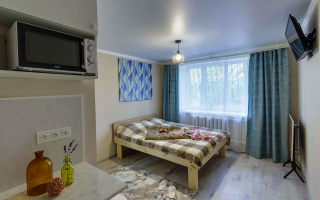 Аренда 1-комнатной квартиры посуточно, 17 м², Гагарина, дом  210 - Гагарина - Аренда жилой и коммерческой недвижимости в Казахстане