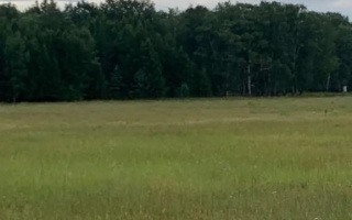 Продажа участка, 10 сот. - Продажа земельных участков в Казахстане