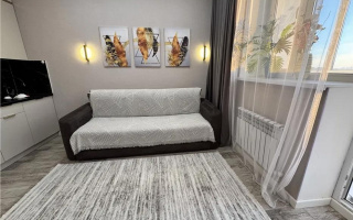 Продажа 1-комнатной квартиры, 23 м² - Продажа однокомнатных квартир в кирпичном доме в Казахстане - страница 56