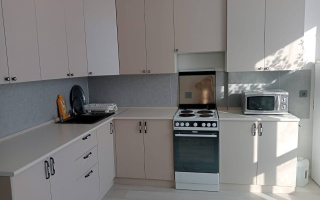 Аренда 1-комнатной квартиры, 43 м² - Аренда однокомнатных квартир помесячно в Астане