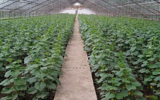 Продажа помещения, 10000 м² - Продажа офисных и торговых помещений в Казахстане - страница 2