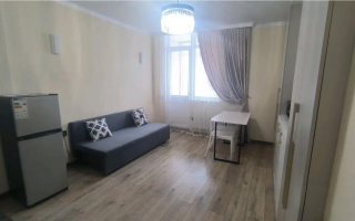 Продажа 1-комнатной квартиры, 26 м² - Продажа квартир в р-не Сарыарка Астаны - страница 2