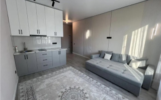 Продажа 1-комнатной квартиры, 26 м² - Продажа однокомнатных квартир от собственников в Алматы - страница 6