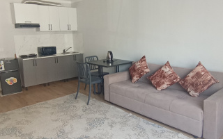 Аренда 1-комнатной квартиры, 30 м², Аккент, дом  71 - Аренда квартир помесячно в Алматы без посредников