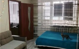 Продажа 2-комнатной квартиры, 44 м² - Продажа двухкомнатных квартир в Караганде - страница 7