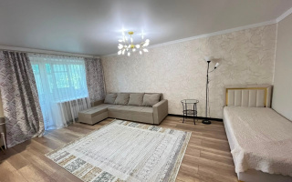 1-комн. квартира, 2/5 этаж, пр. Назарбаева, 74